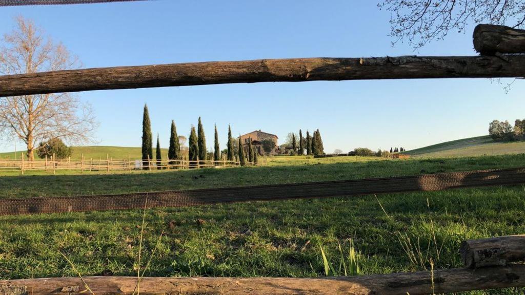 Bed And Breakfast Casale Del Sole Castellina Marittima Bagian luar foto