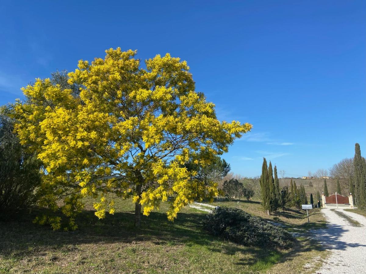 Bed And Breakfast Casale Del Sole Castellina Marittima Bagian luar foto