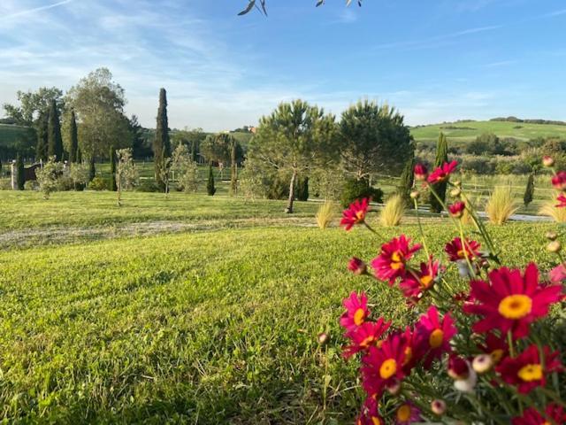 Bed And Breakfast Casale Del Sole Castellina Marittima Bagian luar foto