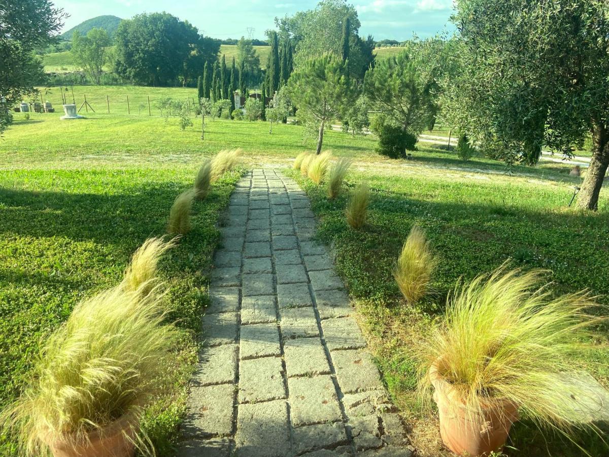 Bed And Breakfast Casale Del Sole Castellina Marittima Bagian luar foto